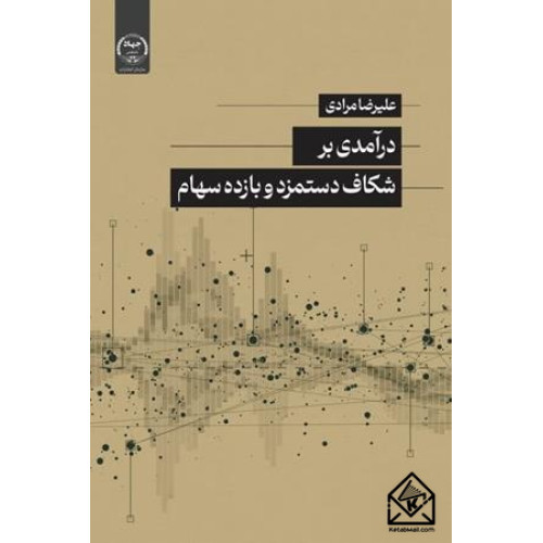 کتاب درآمدی بر شکاف دستمزد و بازده سهام