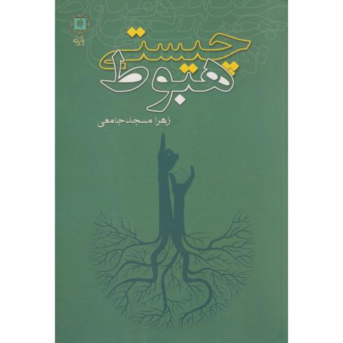 کتاب چیستی هبوط