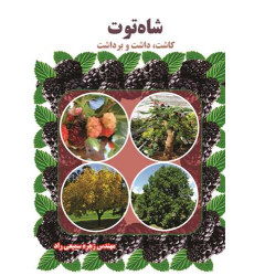کتاب شاه توت کتاب شاه توت