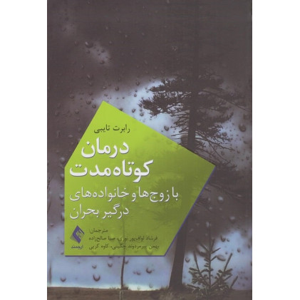 کتاب درمان کوتاه مدت با زوج ها و خانواده های درگیر بحران