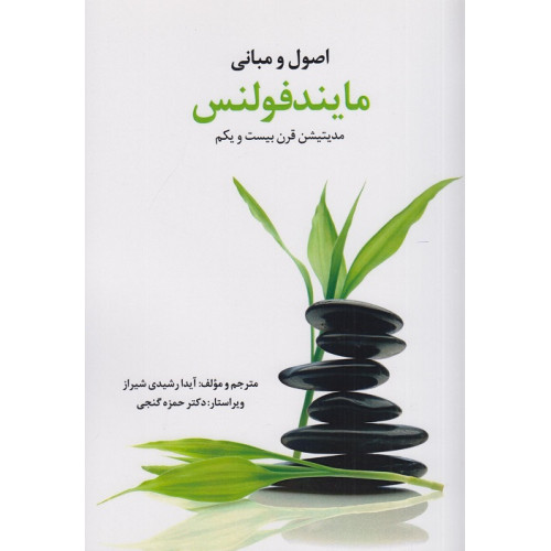 اصول و مبانی مایندفولنس