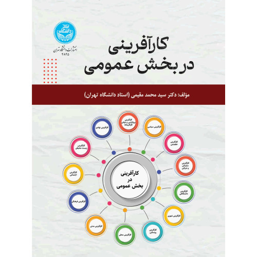 کتاب کارآفرینی در بخش عمومی