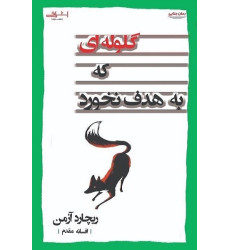 کتاب گلوله ای که به هدف نخورد
