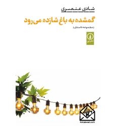 کتاب گمشده به باغ شازده می رود